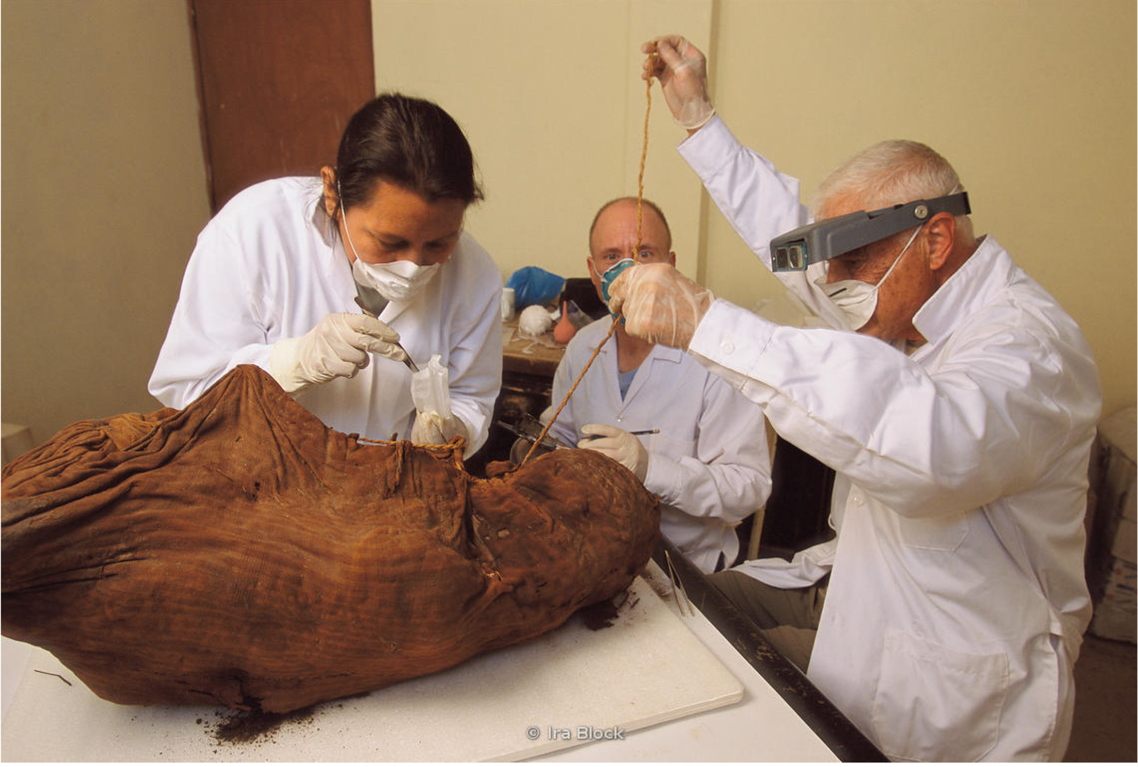 drie archeologen onderzoeken een mummie, gekleed in witte jassen en latex handschoenen